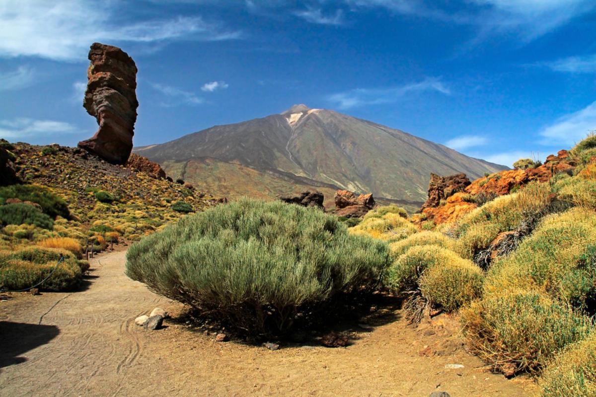 Sweet Home Los Cristianos Арона Экстерьер фото